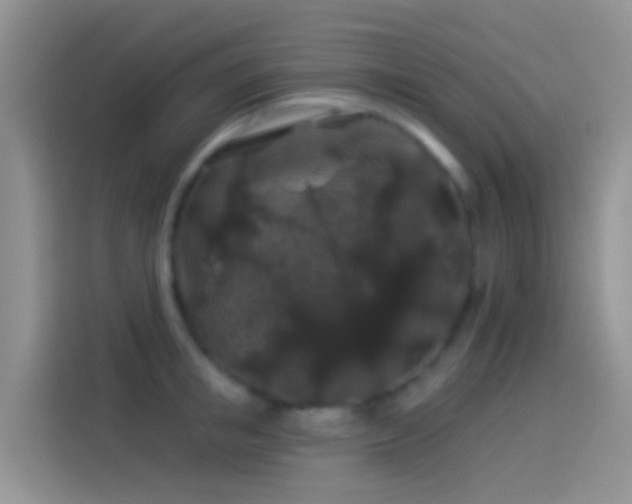 X0000114120853200910131402