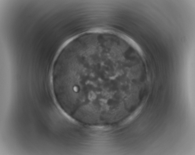 X0000114120855200910131402