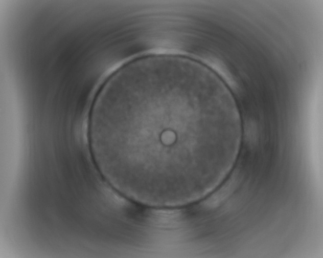 X0000114120856200910131402