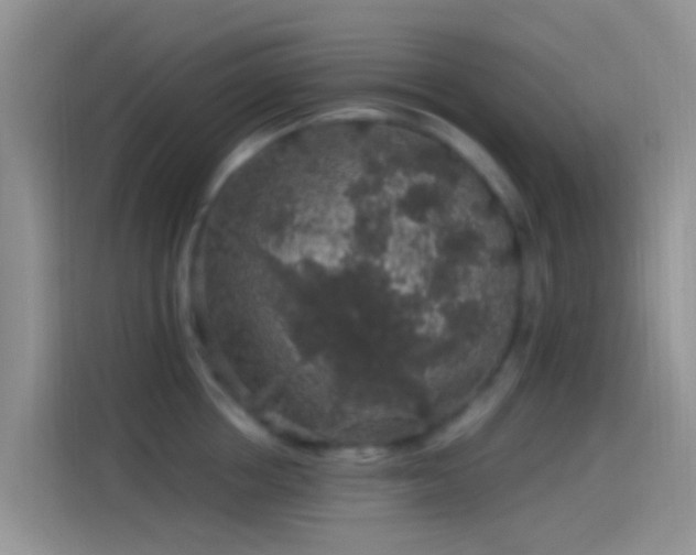 X0000114120858200910131402