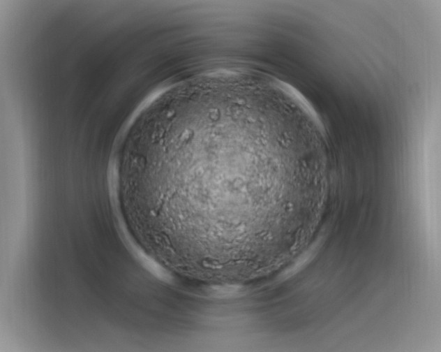 X0000114120859200910131402