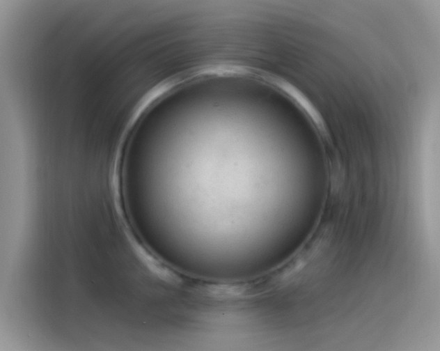 X0000114120861200910131402