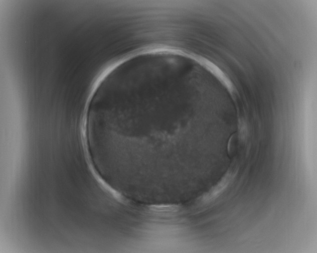 X0000114120863200910131402