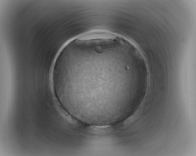 X0000114120864200910131402