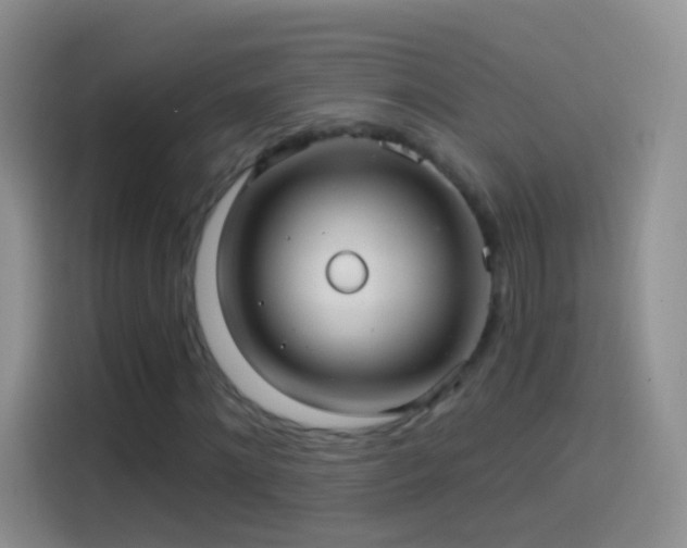 X0000114120868200910131401