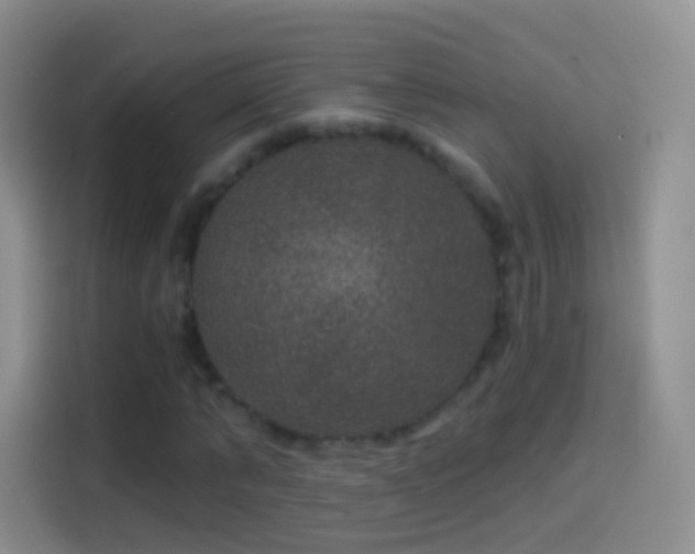 X0000114120870200910131401