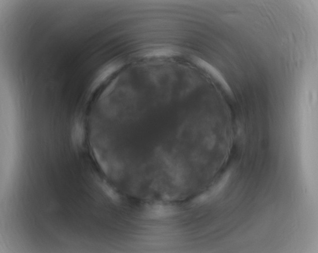 X0000114120874200910131401