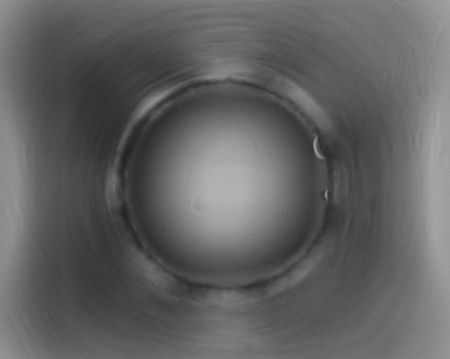 X0000114120876200910131401