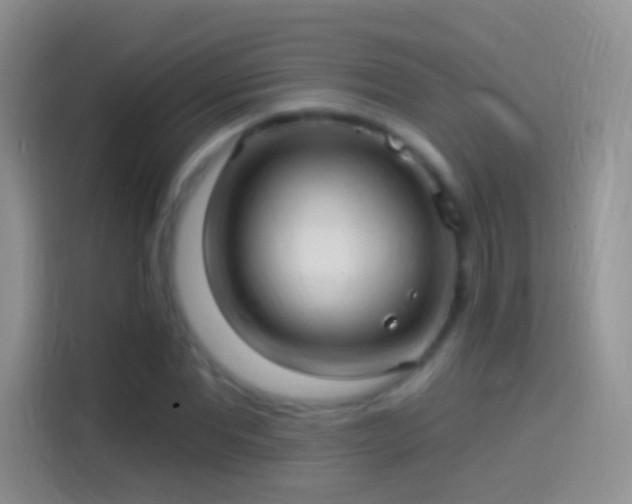 X0000114120877200910131401