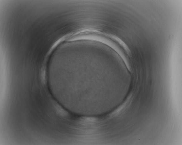 X0000114120878200910131401