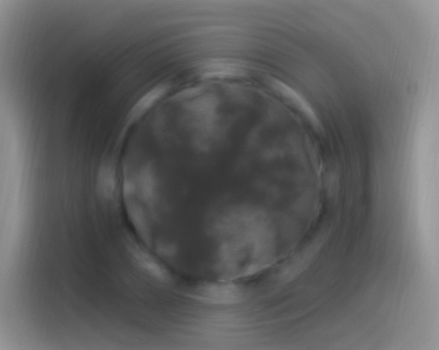 X0000114120882200910131401