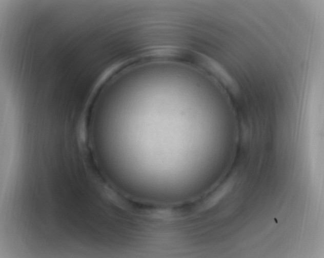 X0000114120883200910131401