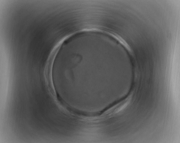 X0000114120885200910131401