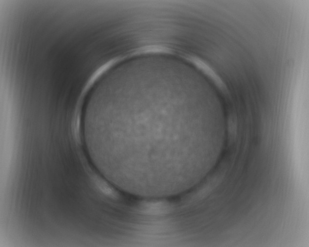 X0000114120886200910131401