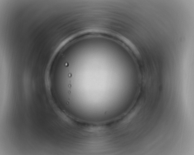 X0000114120887200910131401