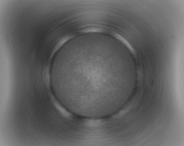 X0000114120890200910131401