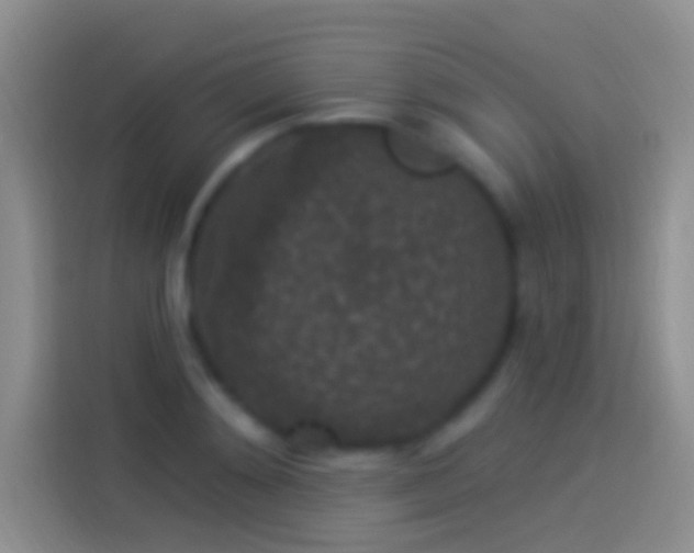 X0000114120892200910131401