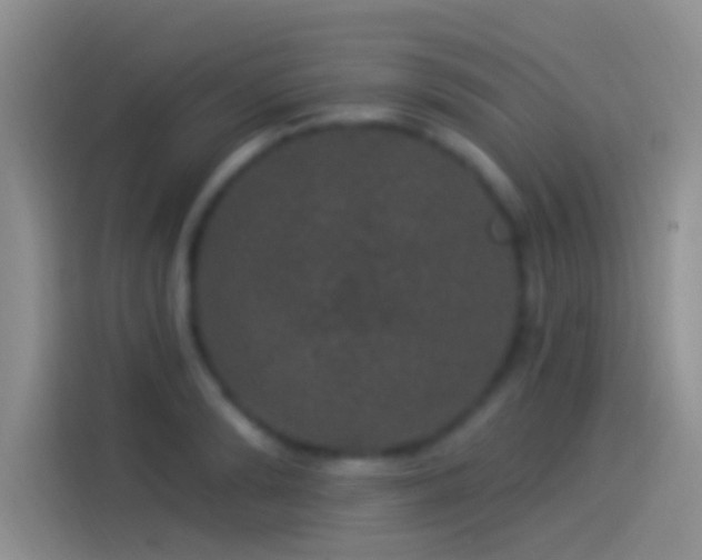 X0000114120894200910131401