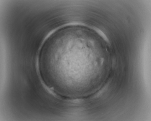 X0000114120895200910131401