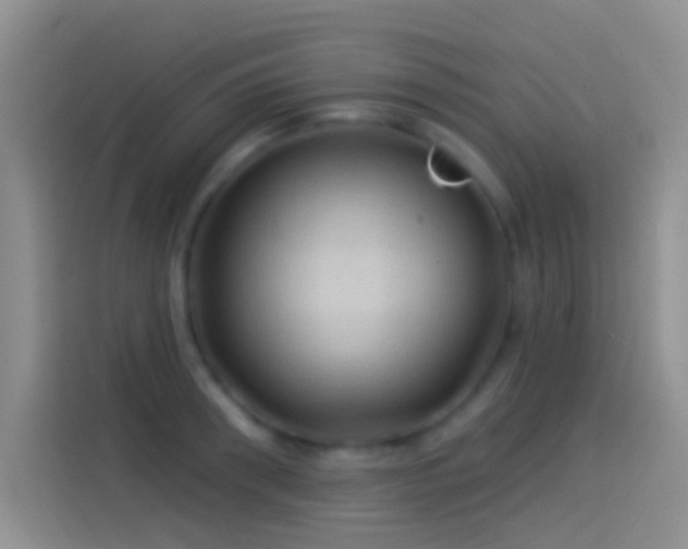 X0000114120898200910131401