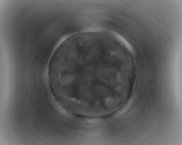 X0000114120899200910131401