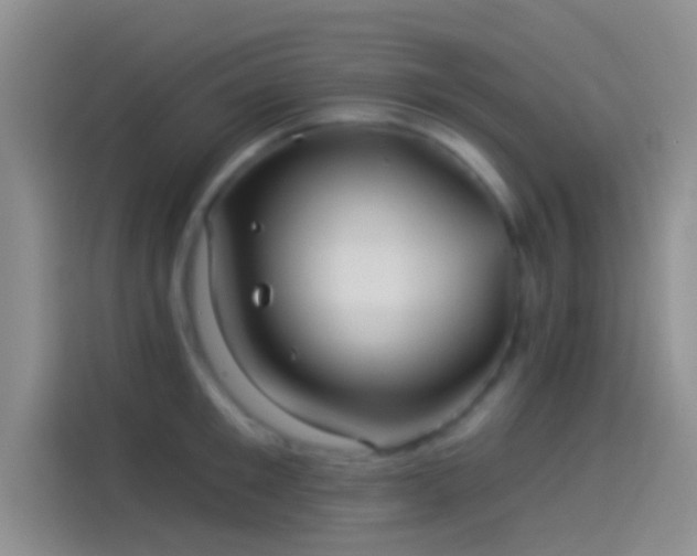 X0000114120901200910131401