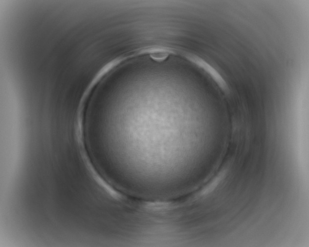 X0000114120902200910131401