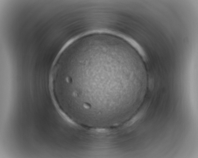 X0000114120903200910131401