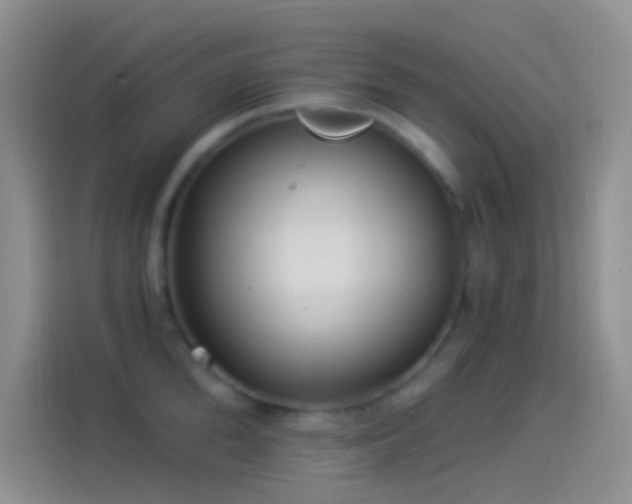 X0000114120904200910131401