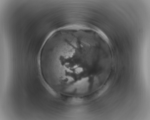 X0000114120907200910131401