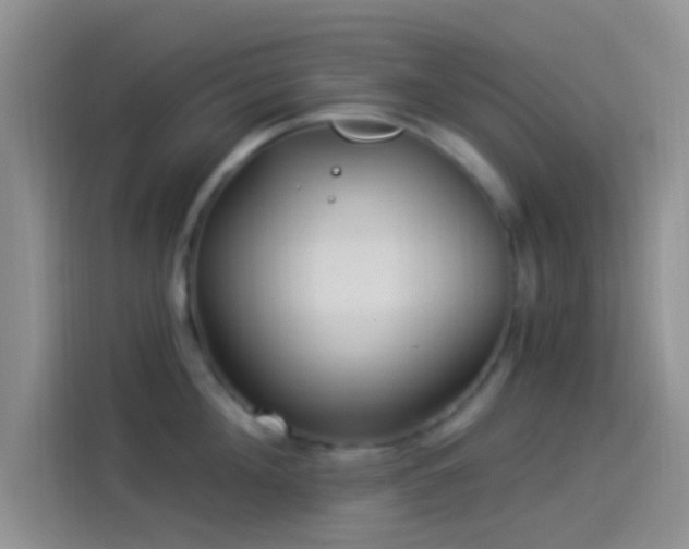 X0000114120908200910131401