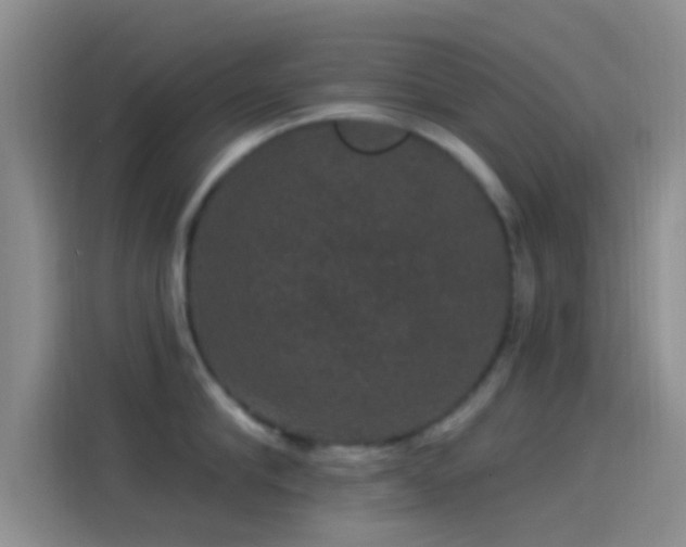 X0000114120910200910131401