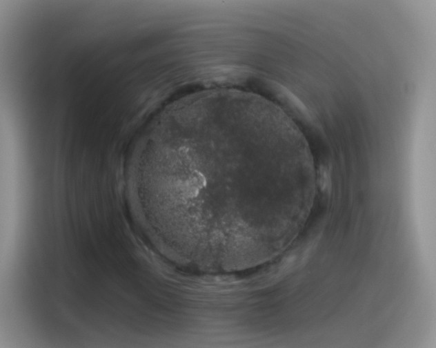 X0000114120915200910131400