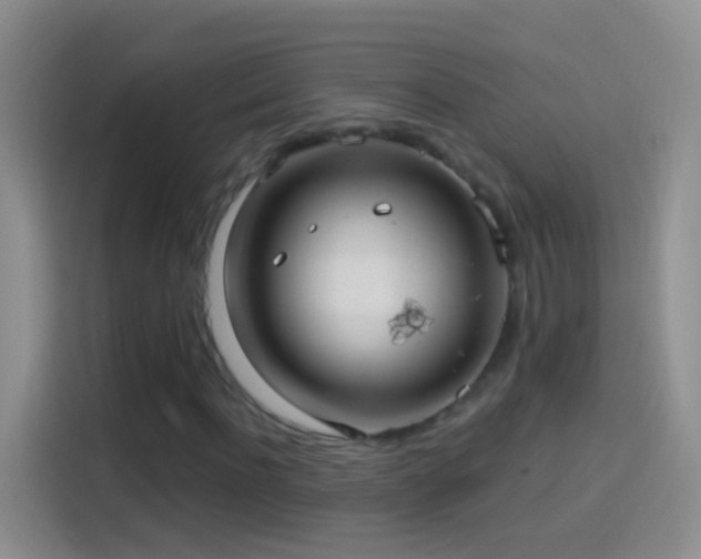 X0000114120916200910131400