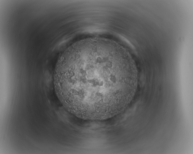 X0000114120917200910131400