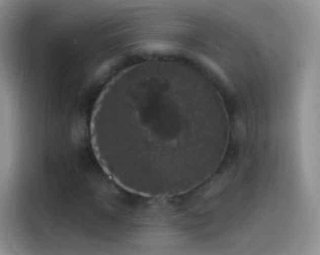 X0000114120918200910131400