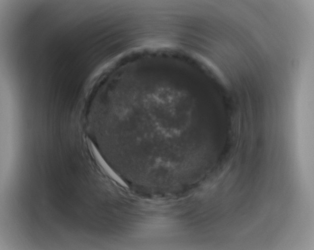 X0000114120919200910131400