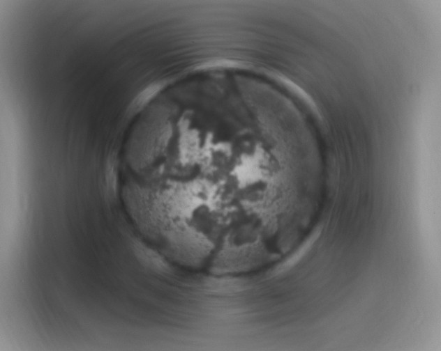 X0000114120921200910131400