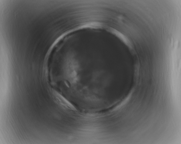 X0000114120923200910131400