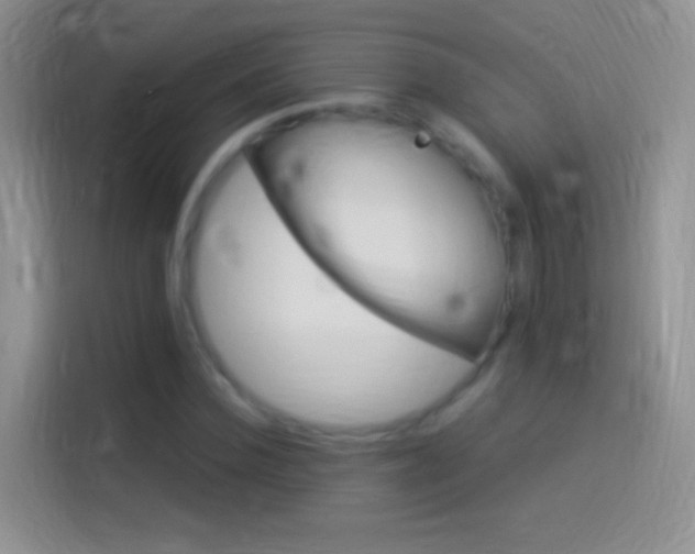 X0000114120924200910131400