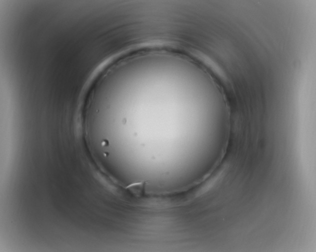 X0000114120927200910131400