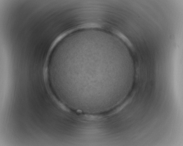 X0000114120928200910131400