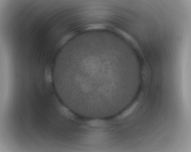 X0000114120929200910131400