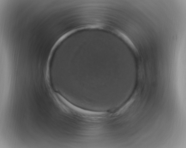 X0000114120932200910131400