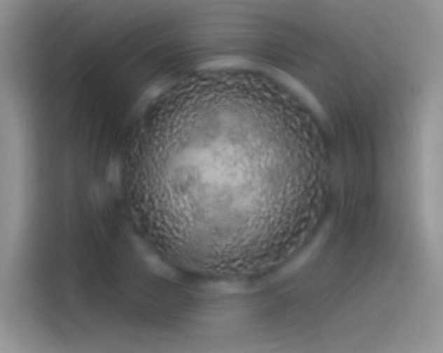 X0000114120937200910131400