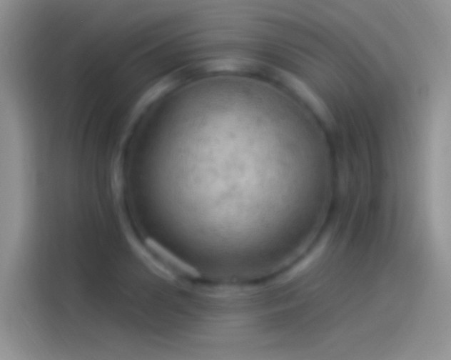 X0000114120938200910131400