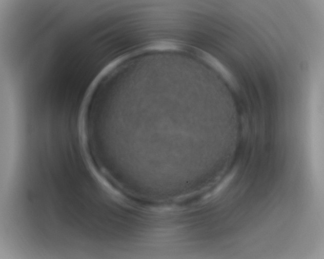 X0000114120939200910131400