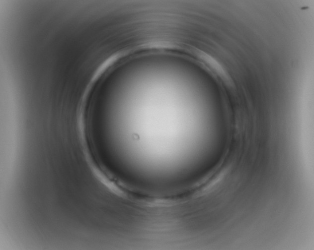 X0000114120942200910131400