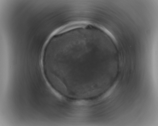 X0000114120943200910131400