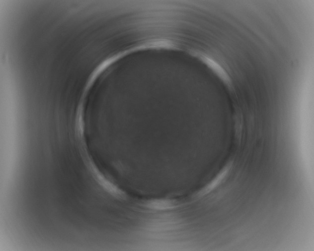 X0000114120944200910131400